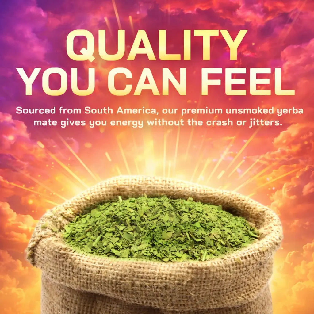 Yerba Magic 2 Pack Bundle: Variety Pack & 5-In-1 Capsules | Yerba Mate, Lion'S Mane, L-Theanine, Prebiotics, Probiotics