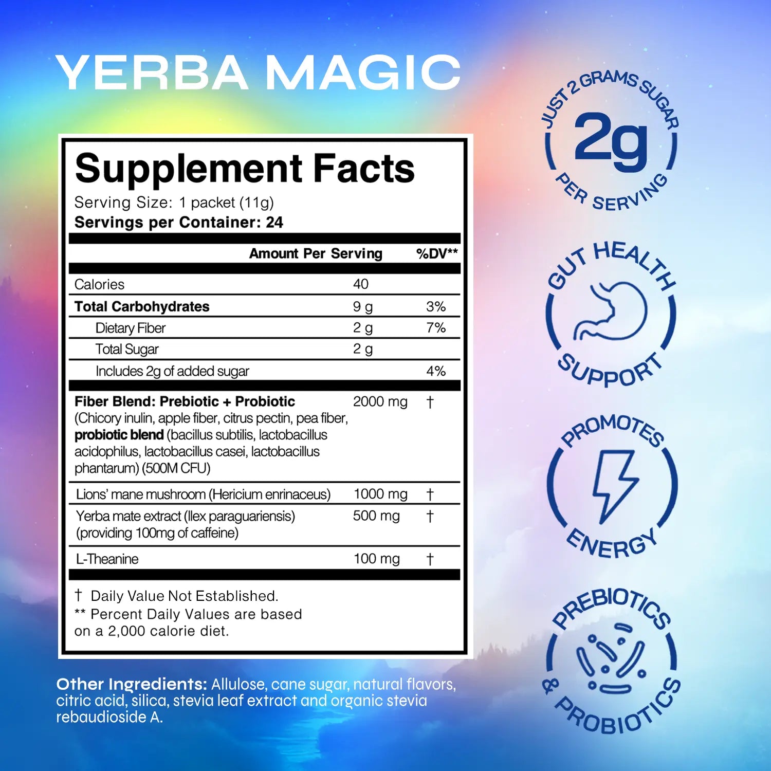 Yerba Magic 2 Pack Bundle: Variety Pack & 5-In-1 Capsules | Yerba Mate, Lion'S Mane, L-Theanine, Prebiotics, Probiotics