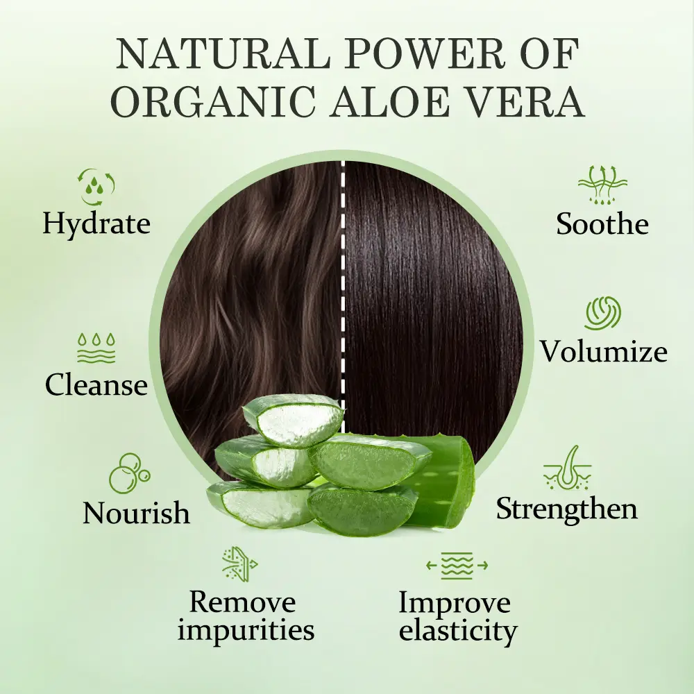 Aloderma Aloe Vera Hair Care Set: Volumizing Shampoo, Nourishing Conditioner